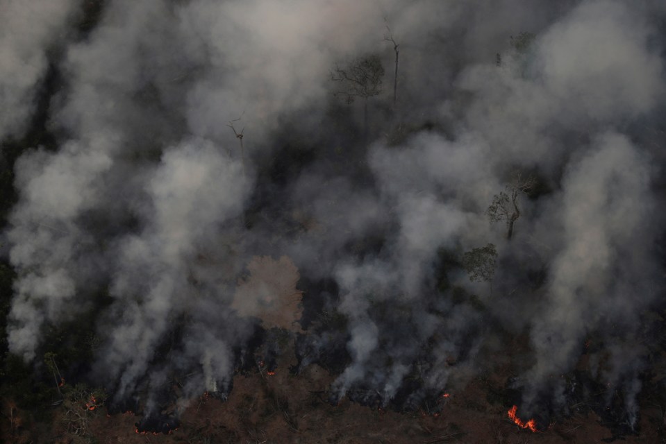  Smoke billows during a fire in an area of the Amazon rainforest near Porto Velho, in Brazil