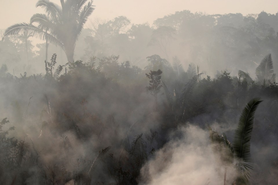  Smoke from a fire covers the rainforest near Humaita in Amazonas state