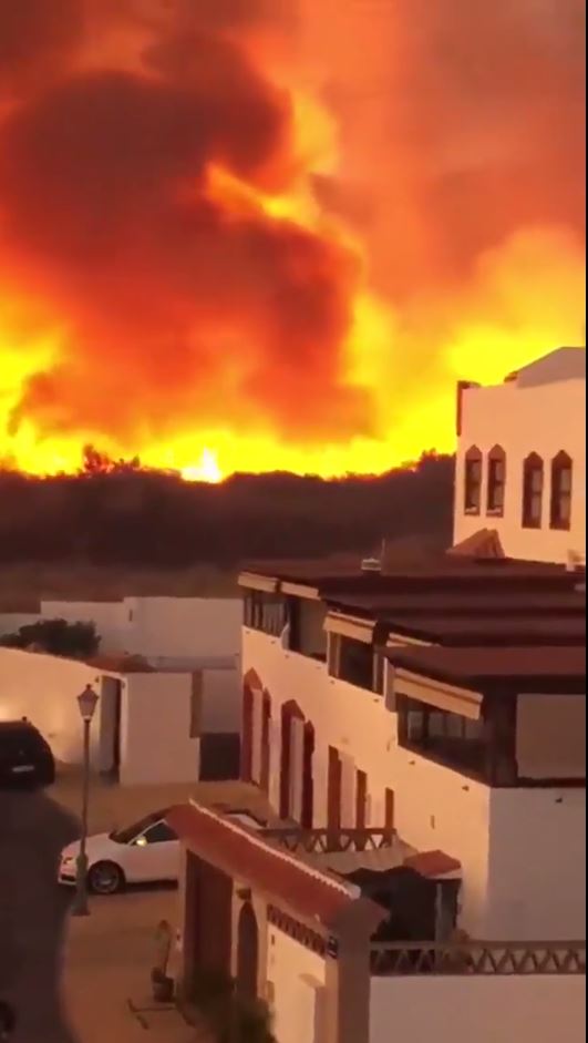  Footage of the fire shows flames engulfing the skyline