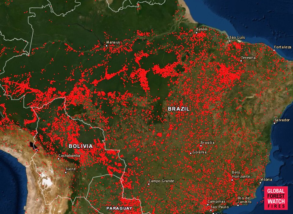  Global Forest Watch says there have been 109,000 fire alerts in Brazil between August 13-22