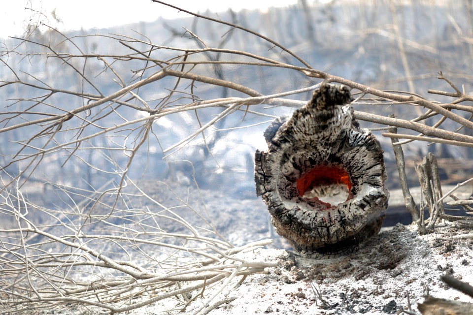  Vasts areas of the Amazon jungle have been burned by loggers and farmers