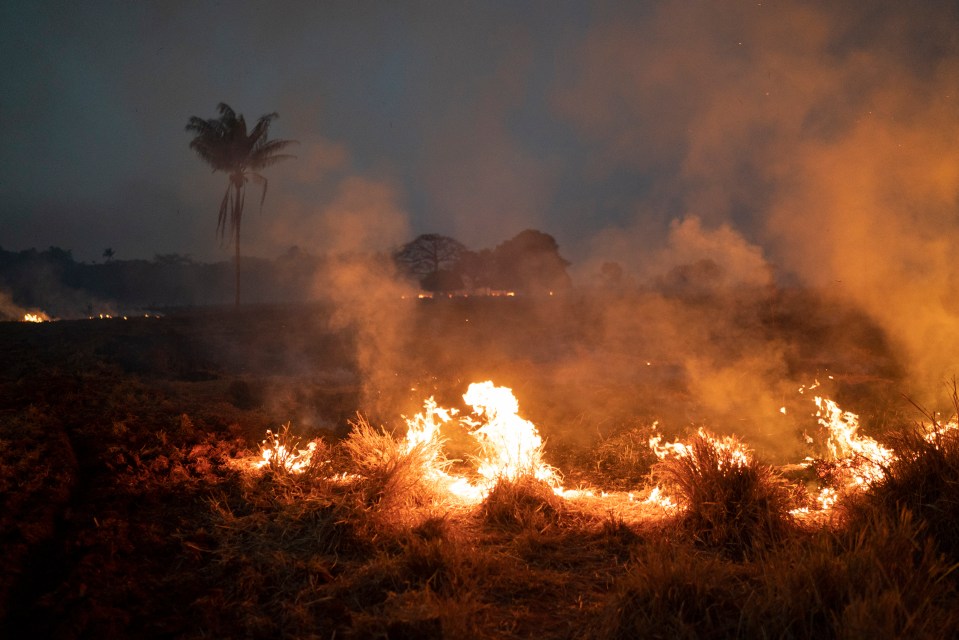  Environmentalists have warned that Bolsonaro's controversial plans for more agriculture and mining in the region will speed up deforestation