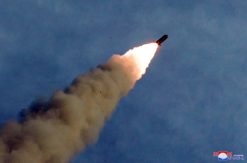  A missile is fired during the test of a multiple rocket launcher in this undated photo released on August 25