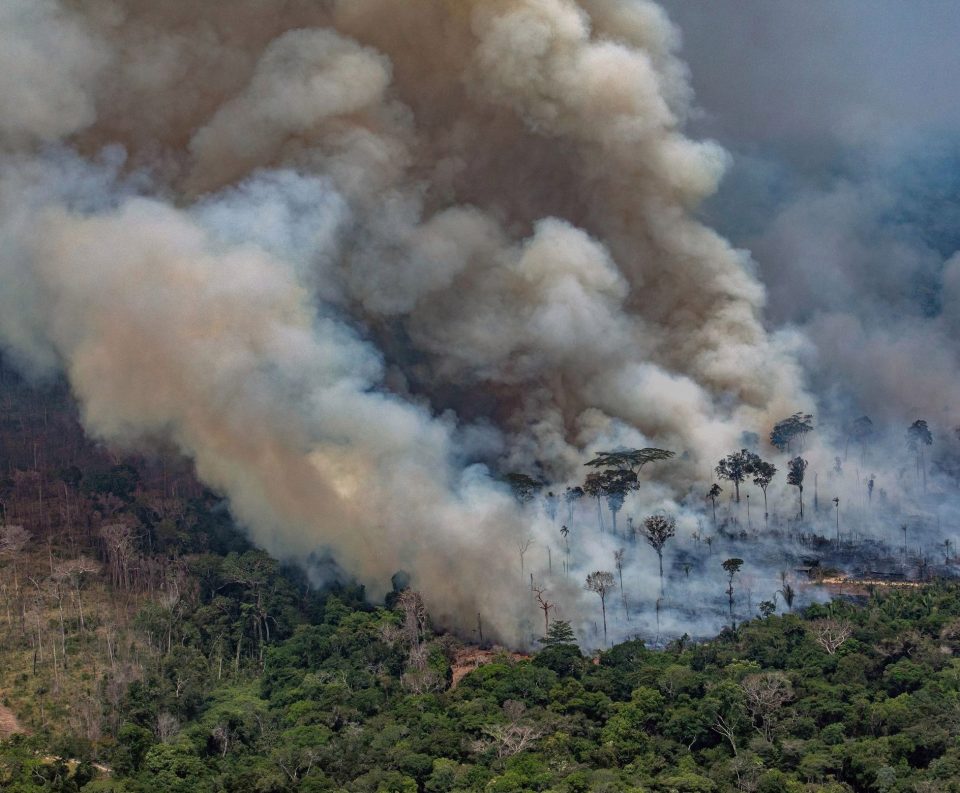  The Amazon fires have become a global issue escalating tensions between Brazil and European countries