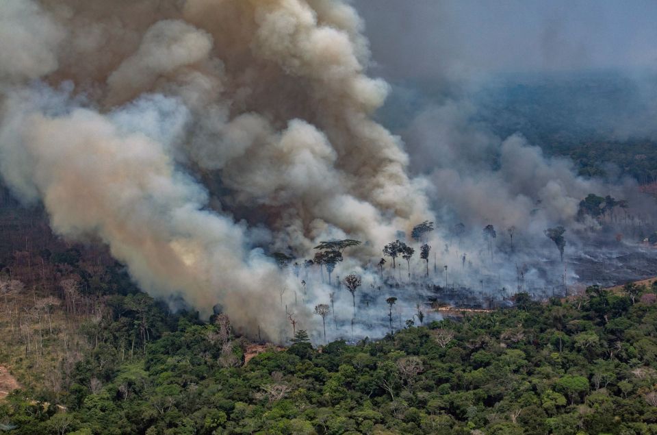  The Amazon fires have become a global issue escalating tensions between Brazil and European countries