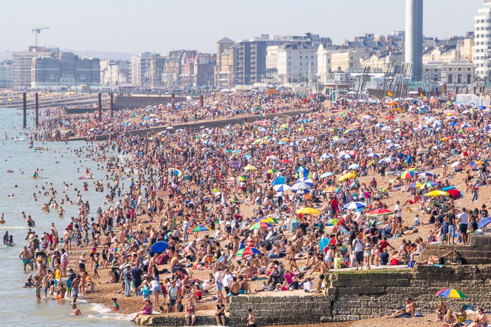  Brighton beach was heaving yesterday as sun worshippers try and find a spot in the crowd