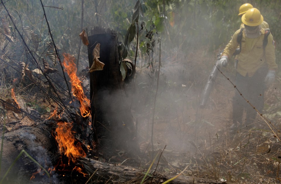  Around 44,000 troops are now on alert to tackle blazes in six emergency-hit Brazilian states