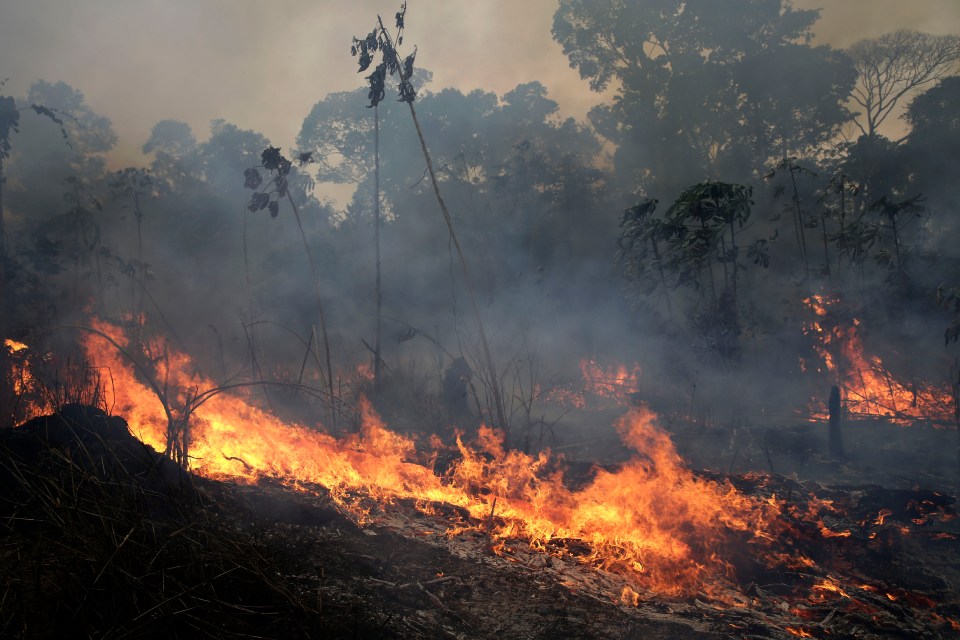  Thousands of wild fires are now raging across the Amazon in Brazil ad Bolivia