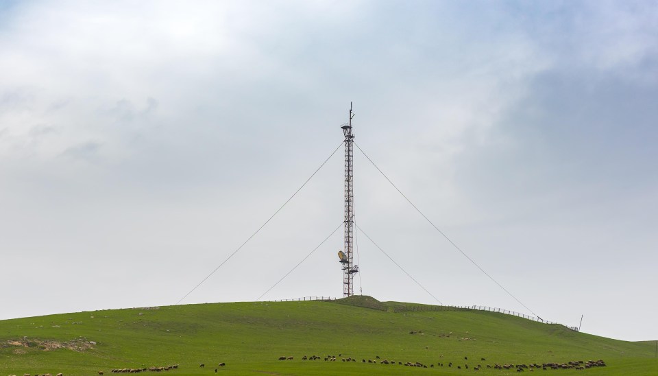 The British countryside will be among the first to get 5G internet, the Government has pledged