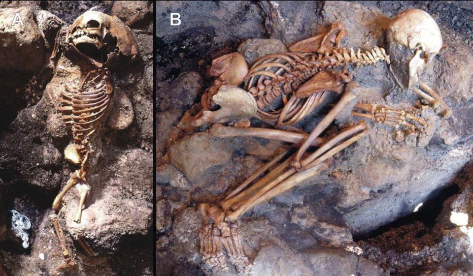 These remains were found in an ancient boat house Credit: journals.plos.org