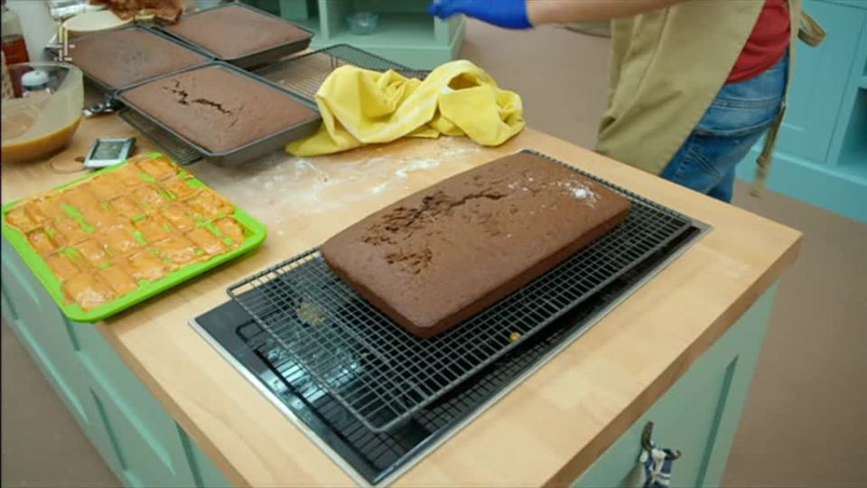  The Great British Bake Off ovens are all checked before the bake begins