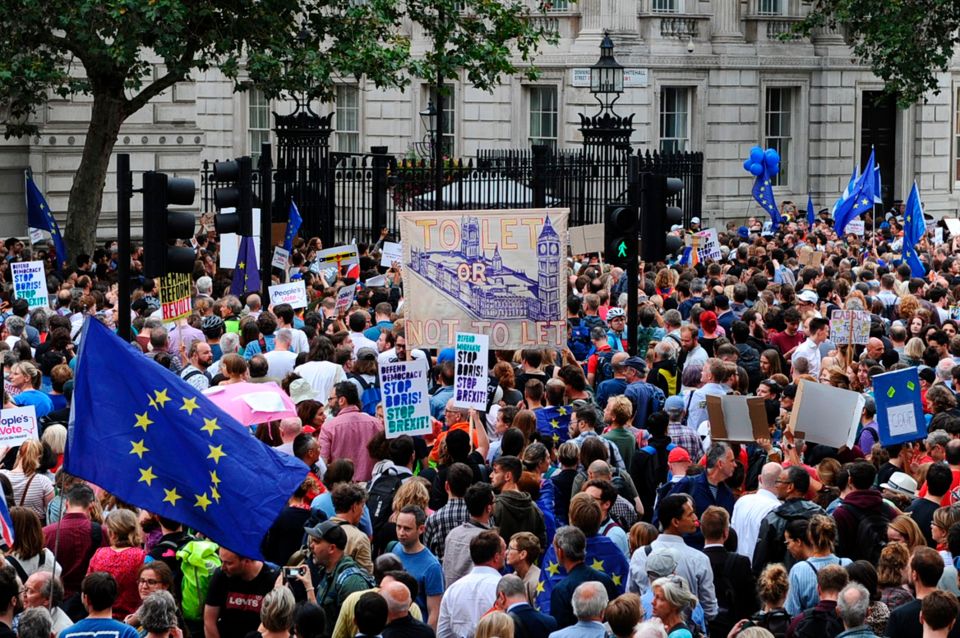  Remainers took to the streets to protest against the PM's decision