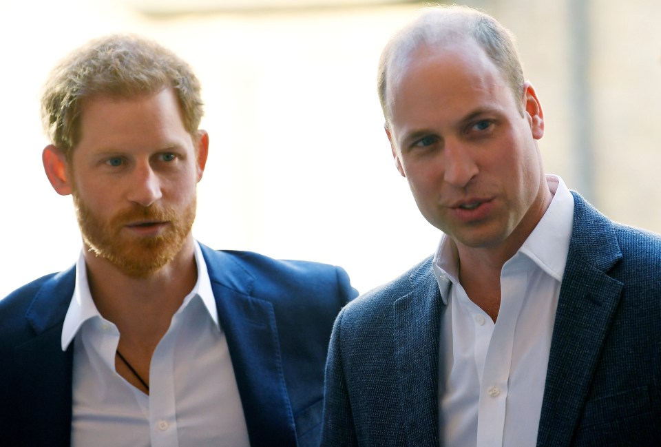  The duo joke princes Harry and William are 'sponging off gran'