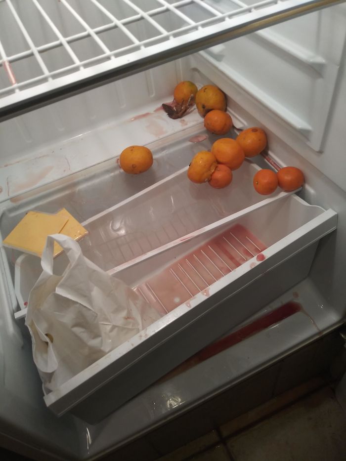  This hotel fridge was left with a spilled red liquid, some packets of cheese, and some clementines