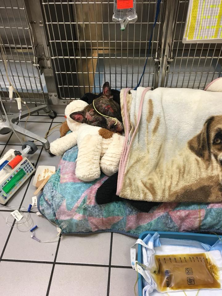  Tommie was rescued and treated for severe burns but died five days later