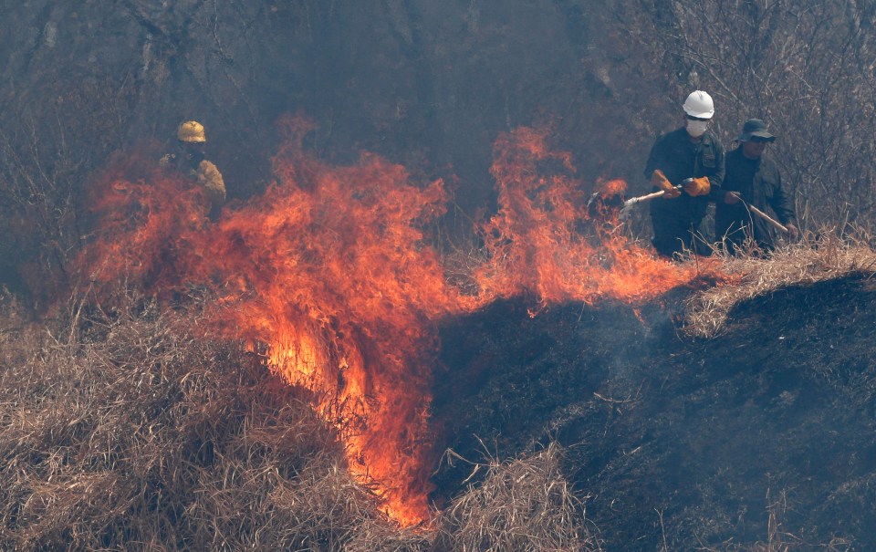  Police and firefighters work to put out a fire in the Chiquitania forest on the outskirts of Robore, Bolivia