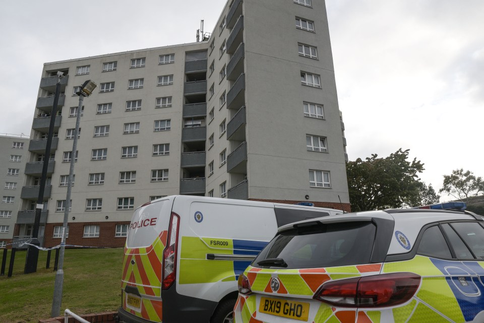  Two police vehicles are present on the scene in Rubery, Rednal