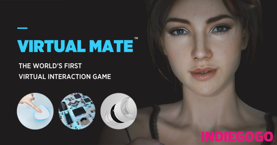  VirtualMate is a seedy sex game that features virtual girlfriends who romp with you