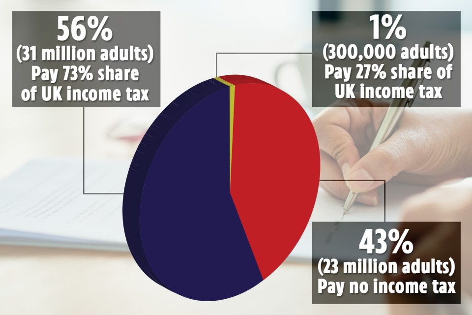  Nearly half of adults pay no income tax