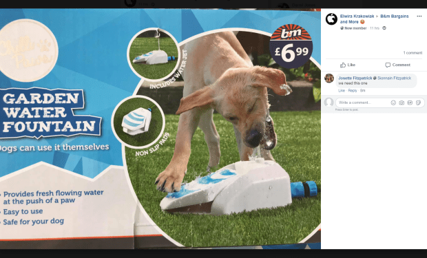  Your dog might be in need of one of these garden water fountains from B&M