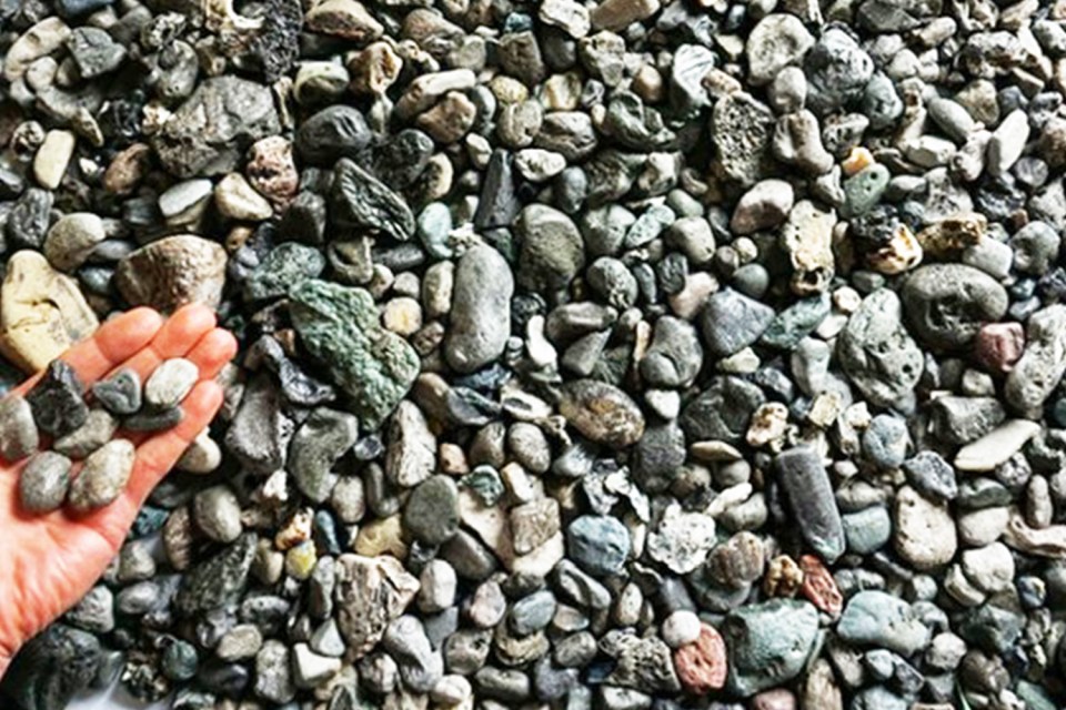  These lumps may look like rocks, but they're actually pieces of plastic washed up on a beach in Cornwall