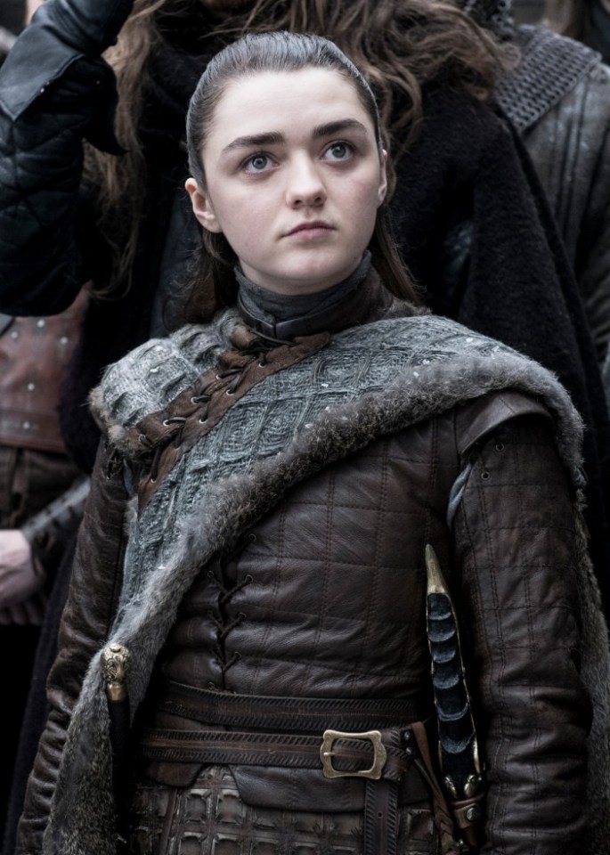  Arya was a fan favourite on the show