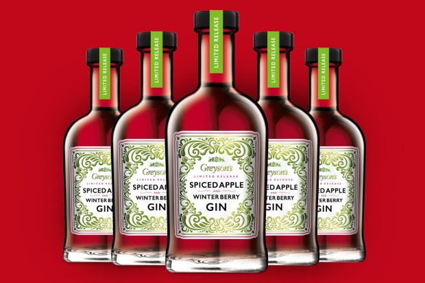 Aldi's new spiced apple and berries gin