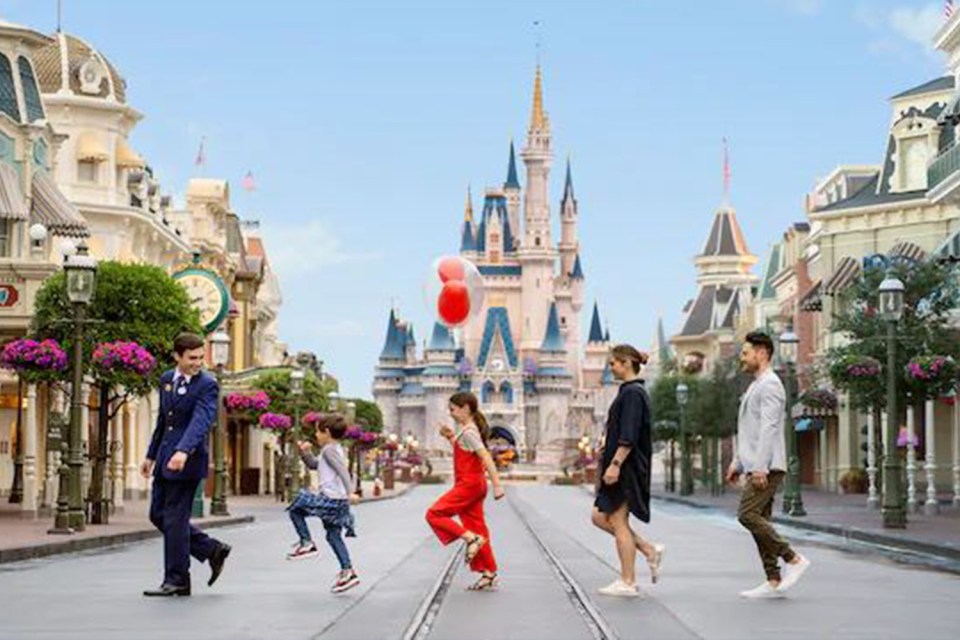  Disney offers a VIP tour but it's not cheap