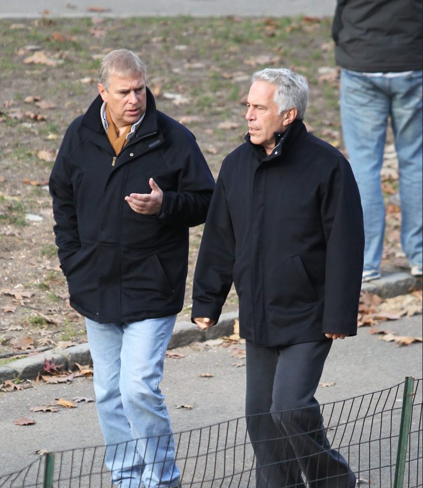  Prince Andrew and Epstein in 2010, after the paedo's child sex conviction