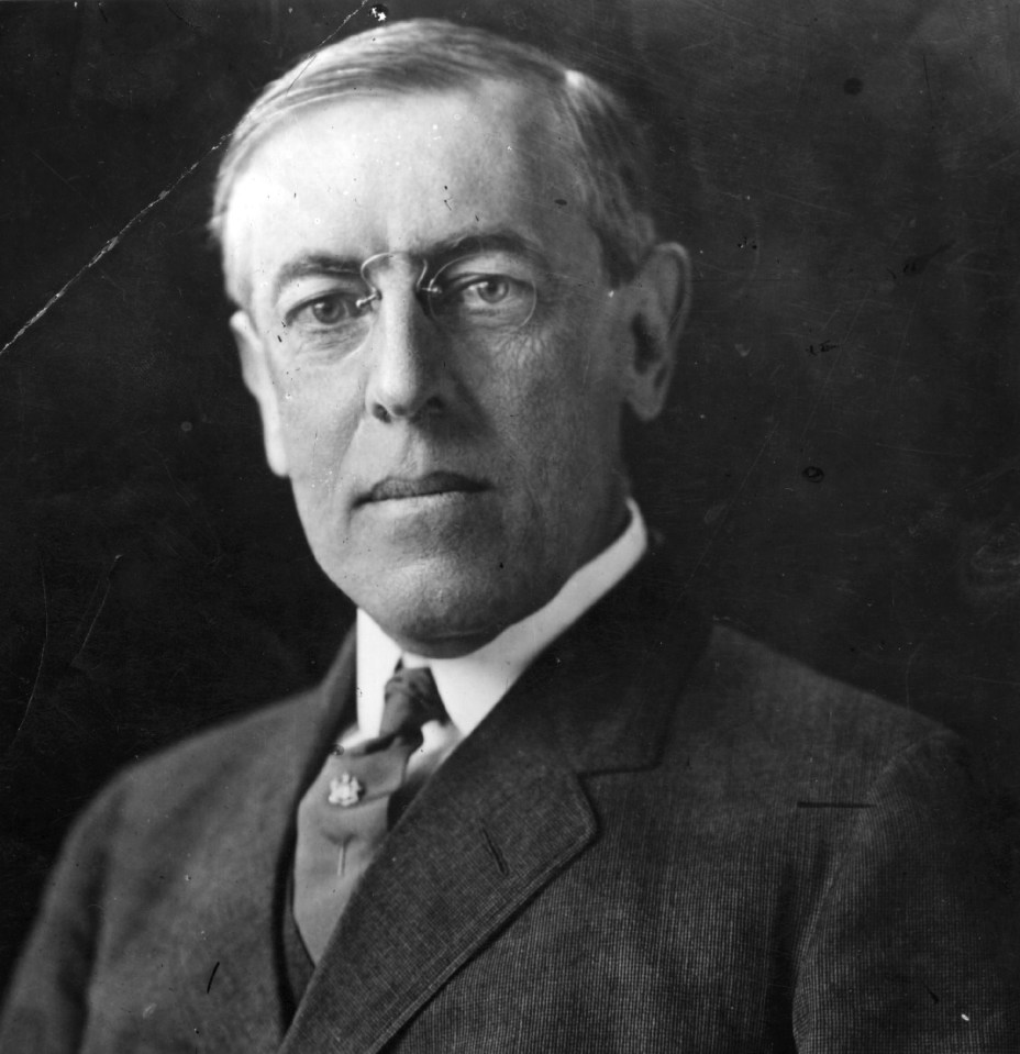 Thomas Woodrow Wilson was paralysed by a serious stroke during his time in office