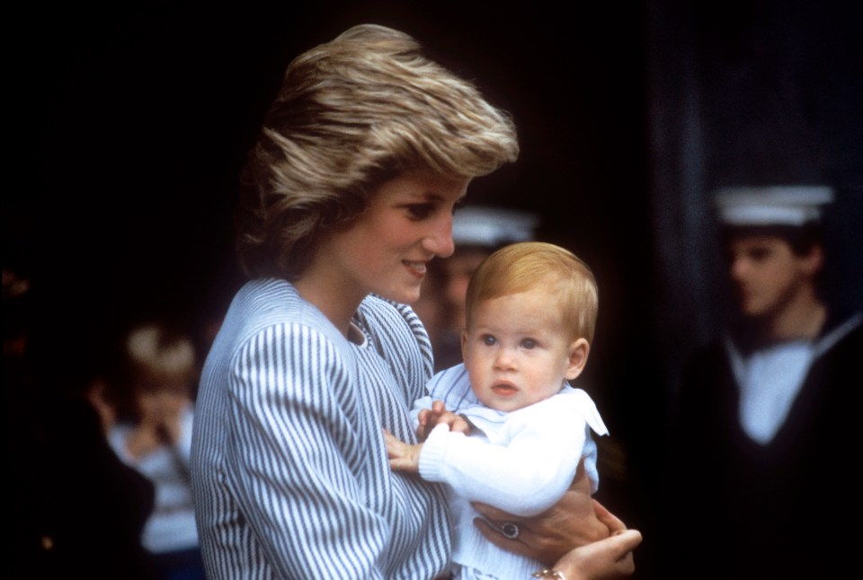  Princess Diana holds Harry in her arms when he was a baby