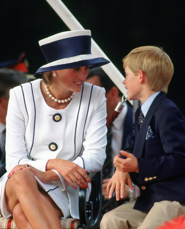  Prince Harry said Africa gave him the chance to get away from it all after his mum's death