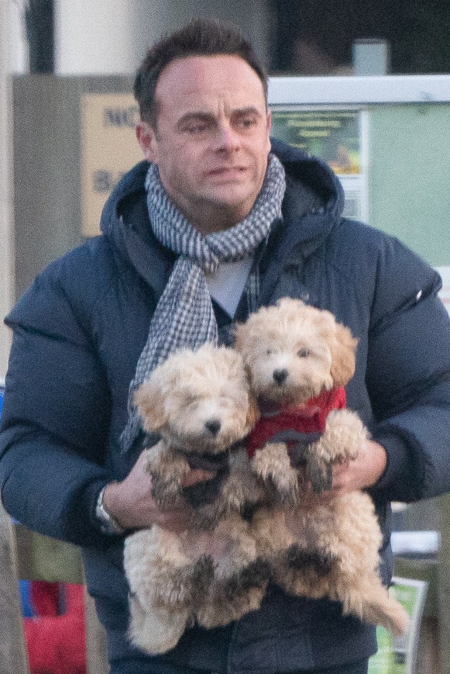  He also has new dogs with his girlfriend Anne-Marie