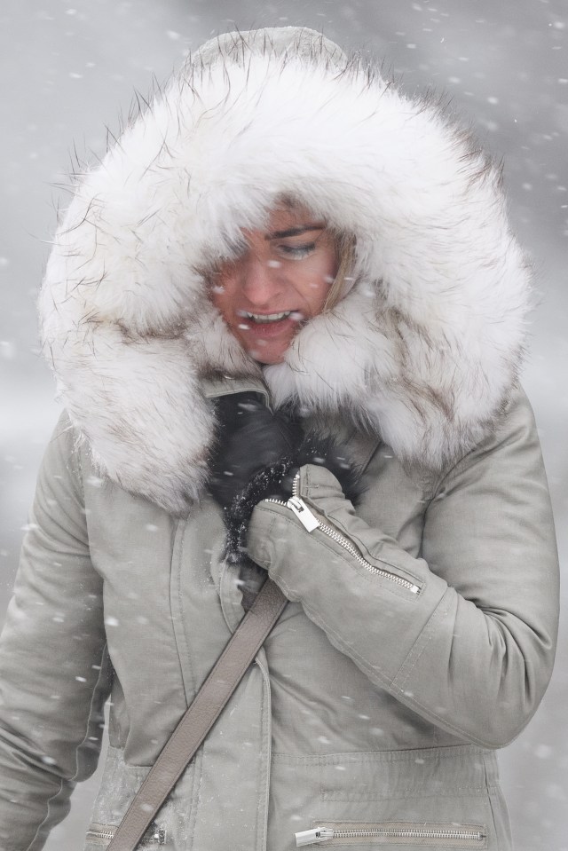  The Beast from the East, which hit in February last year, saw gusts of up to 70mph and temperatures of -14C