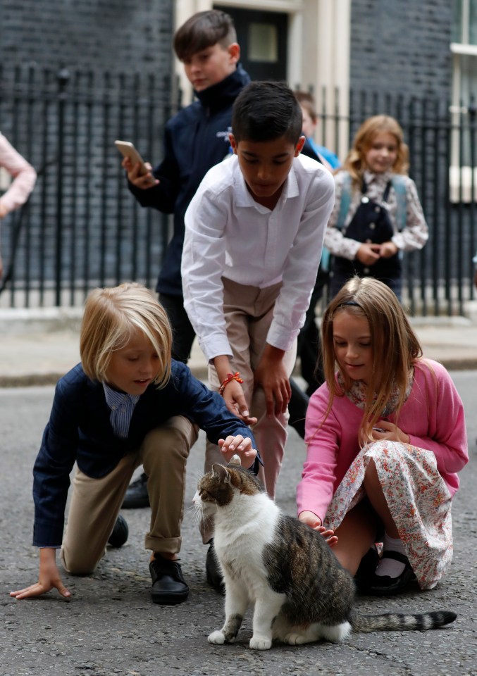  Children visiting Downing Street pet Larry the No10 Cat