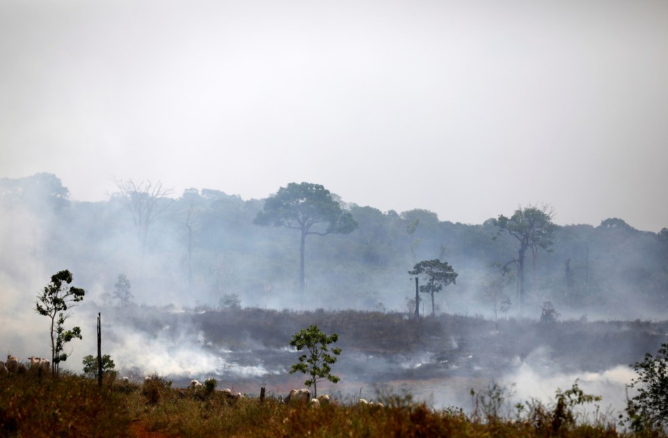  Despite a ban on using fire to clear land, smoke from fires can still be seen