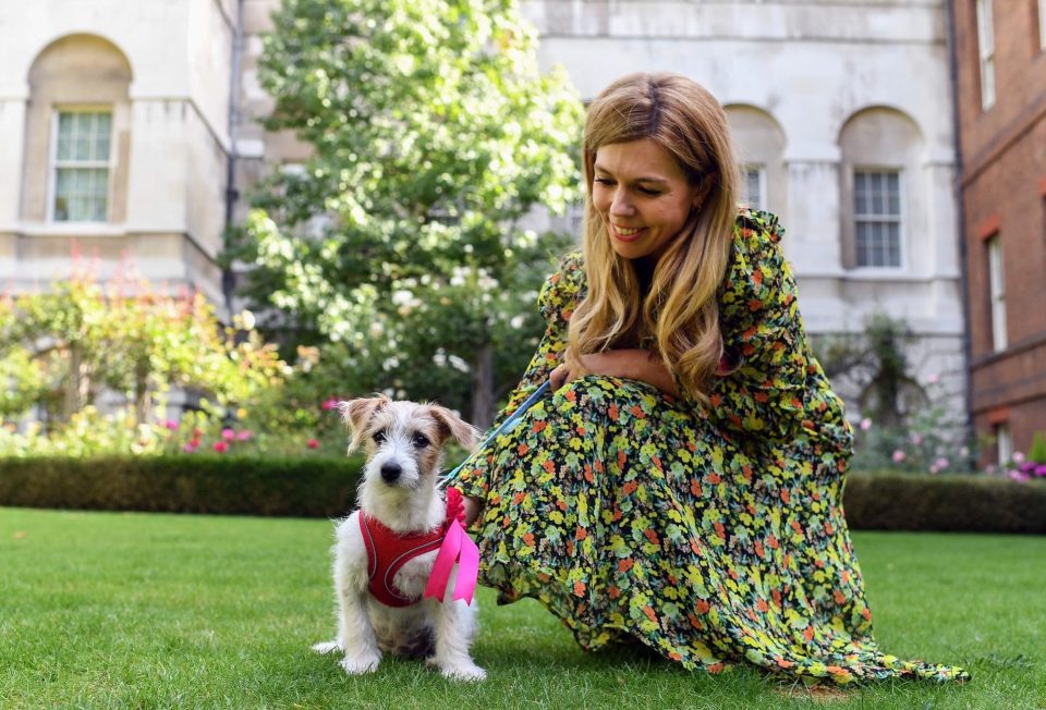  The 15-week-old puppy posed with his new owner