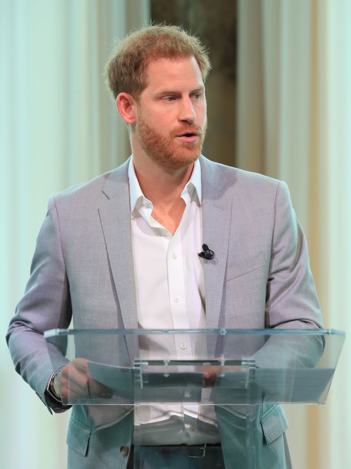  Prince Harry told the crowd 'no one is perfect' during his speech