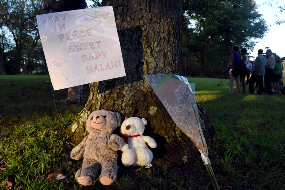  Mourners left heartbreaking tributes for the little girl in the park