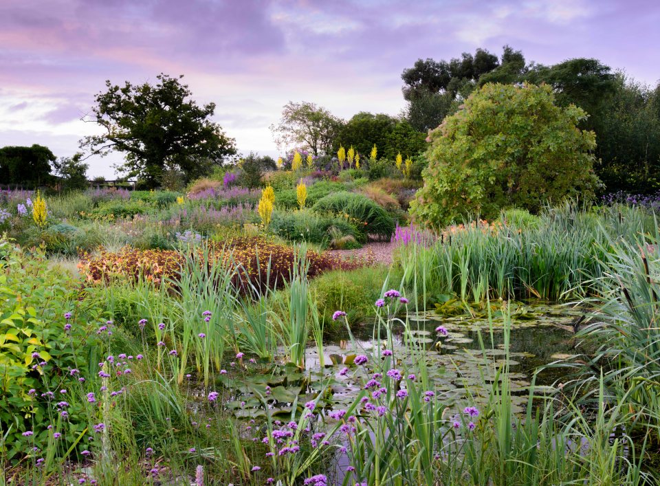  A cacophony of colours pop in this beautiful floral garden