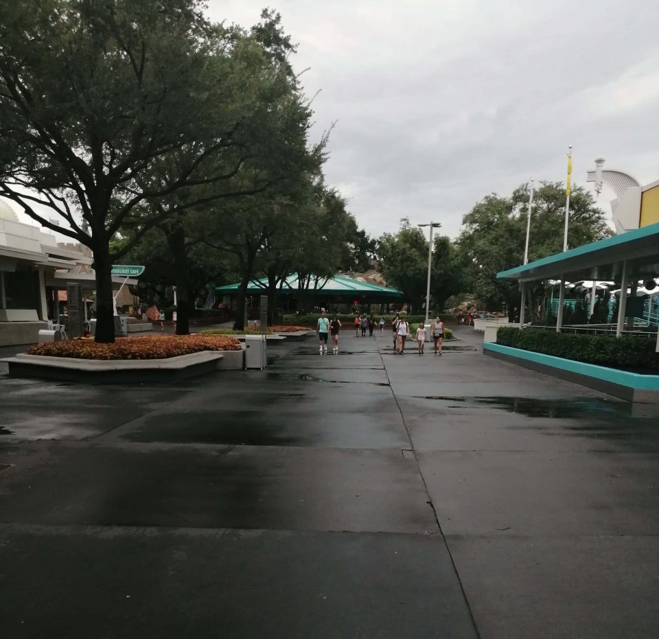  The park reopened this morning after having been forced to close yesterday afternoon