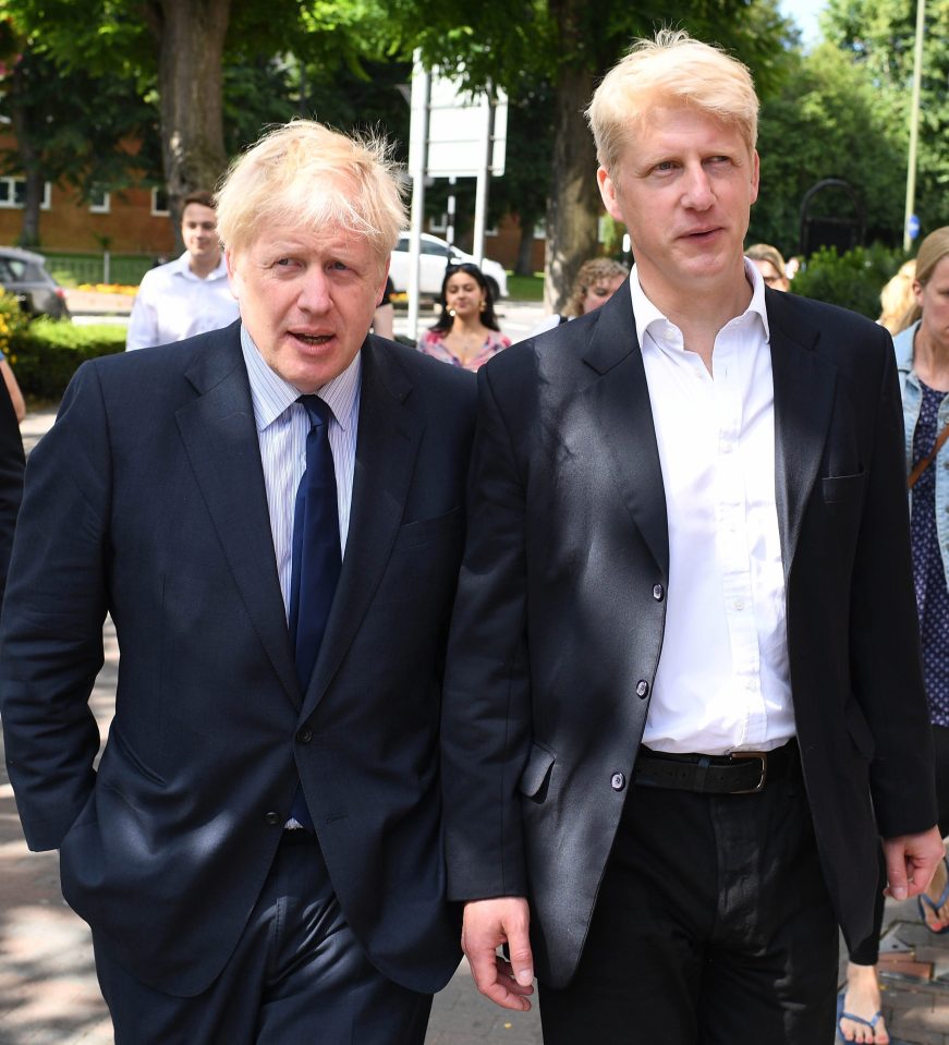  Boris Johnson is thought to have begged his brother Jo to stay in the Conservative Party