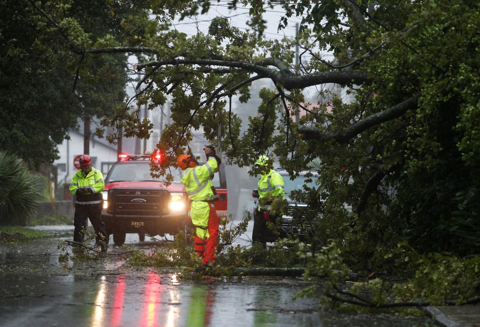  Crews with the Charleston Fire Department clear a fallen tree during Hurricane Dorian