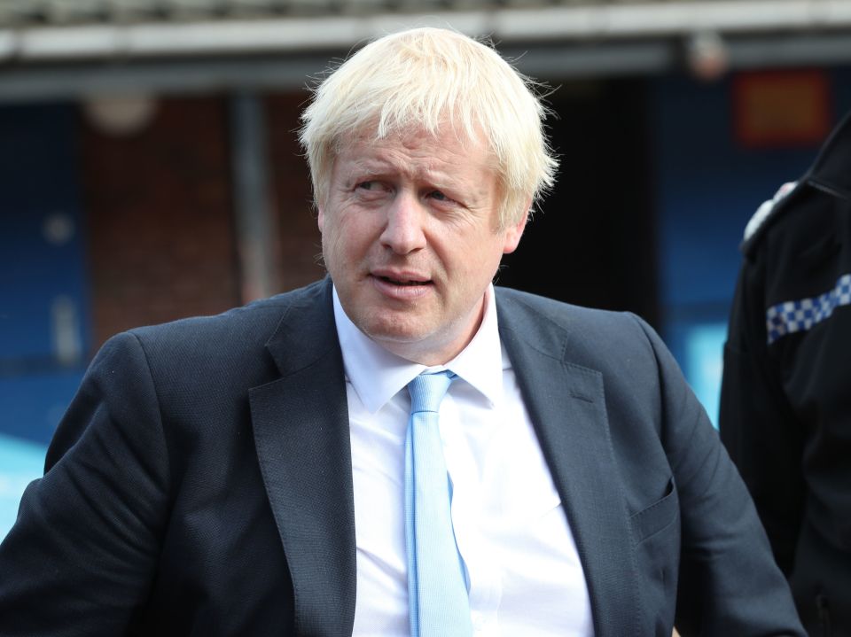  Boris Johnson has vowed to take Britain out of the EU by October 31