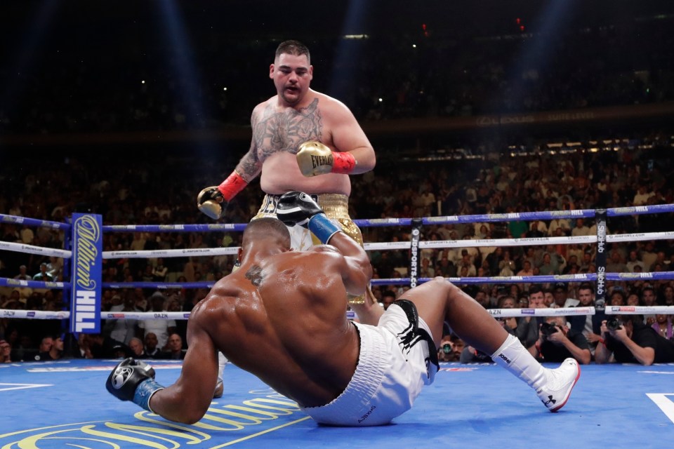  Anthony Joshua was floored four times in his shock KO loss to Andy Ruiz Jr - they both make the list