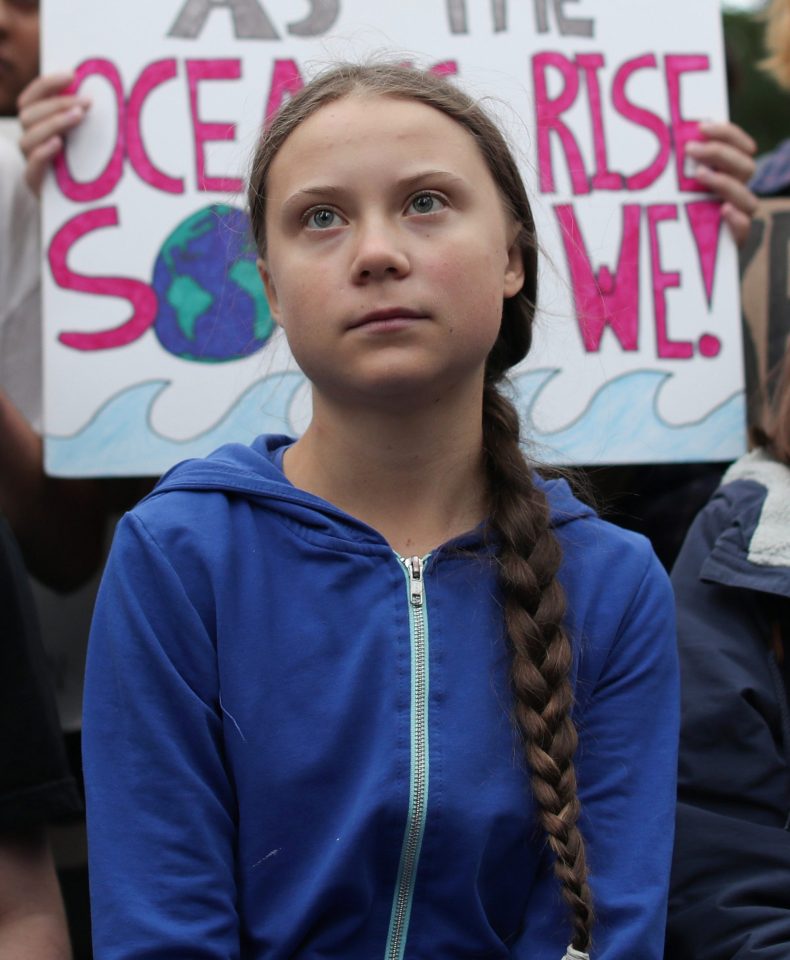  Greta Thunberg is just 16 years old but has become a passionate advocate for the environment