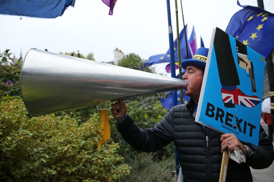  'Mr Stop Brexit' has a knack for making himself heard