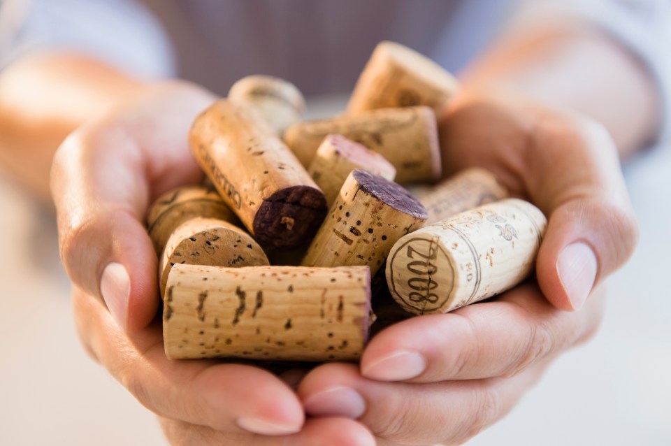  You might be surprised to know that people pay money for used wine corks