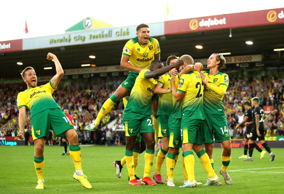  Norwich were on cloud nine as Teemu Pukki netted to ensure a famous victory