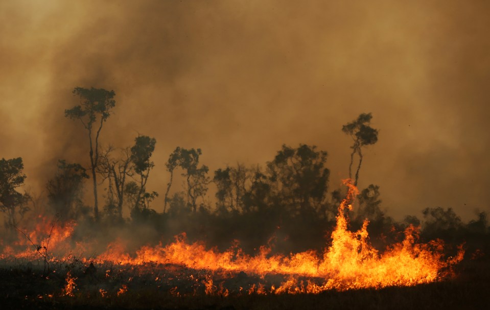  Wildfires are currently ravaging the Amazon rainforest